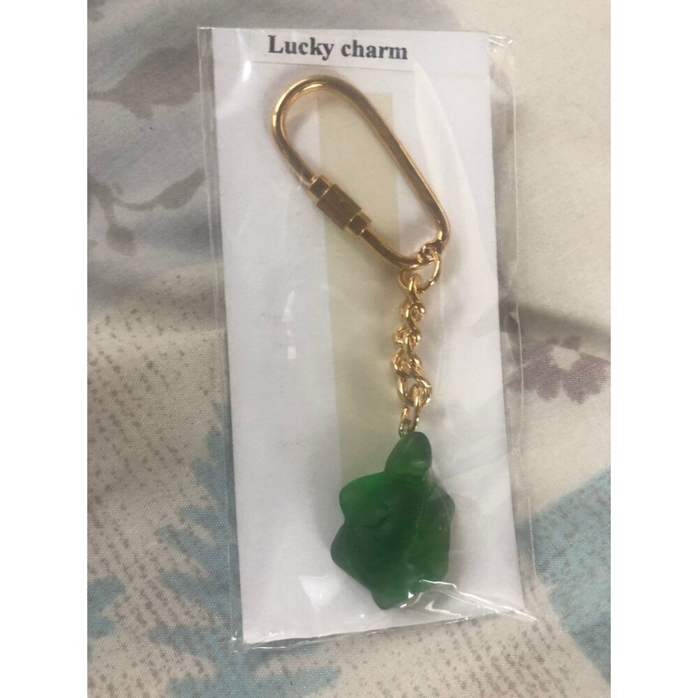Turtle keychain lucky charm